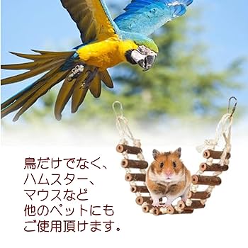 Amazon | dilib インコ はしご おもちゃ 木製 鳥 止まり木 吊り